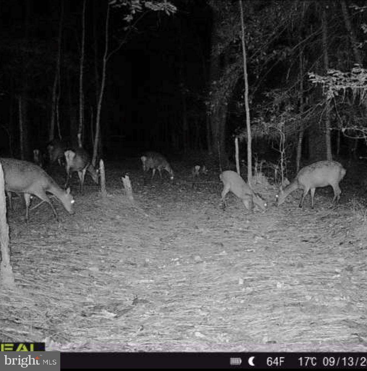 7 Muddy Hole Road Tyaskin, MD 21865 - Photo 74 of 96