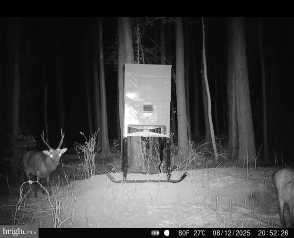 $199,000 | 7 Muddy Hole Road, Tyaskin, MD 21865