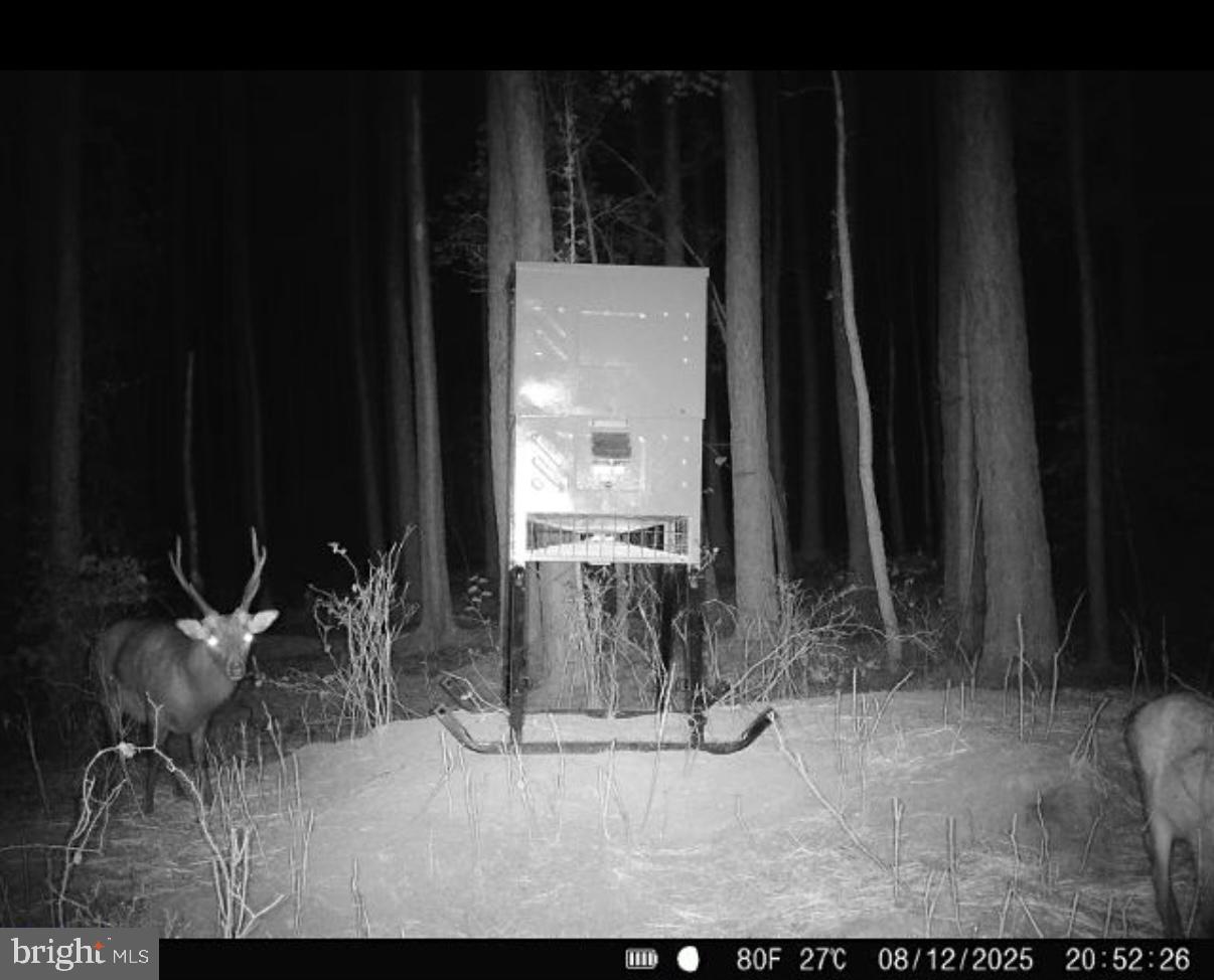 7 Muddy Hole Road Tyaskin, MD 21865 - Photo 75 of 96