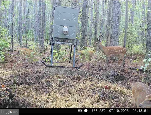 $199,000 | 7 Muddy Hole Road, Tyaskin, MD 21865