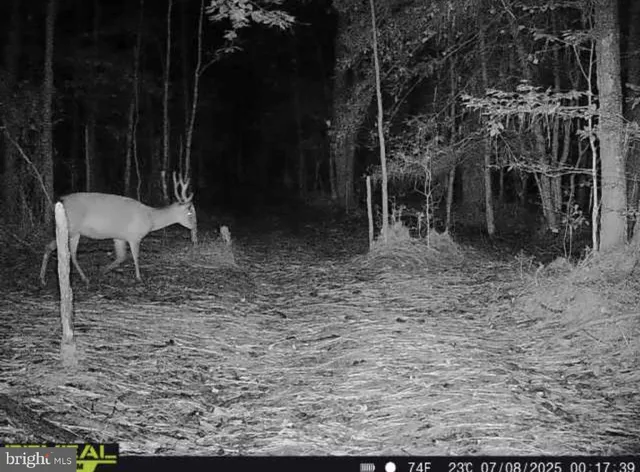 $199,000 | 7 Muddy Hole Road, Tyaskin, MD 21865