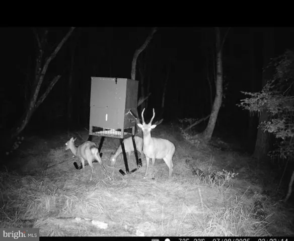 $199,000 | 7 Muddy Hole Road, Tyaskin, MD 21865