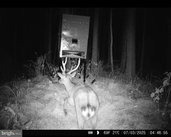 $199,000 | 7 Muddy Hole Road, Tyaskin, MD 21865