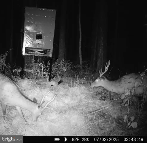 $199,000 | 7 Muddy Hole Road, Tyaskin, MD 21865