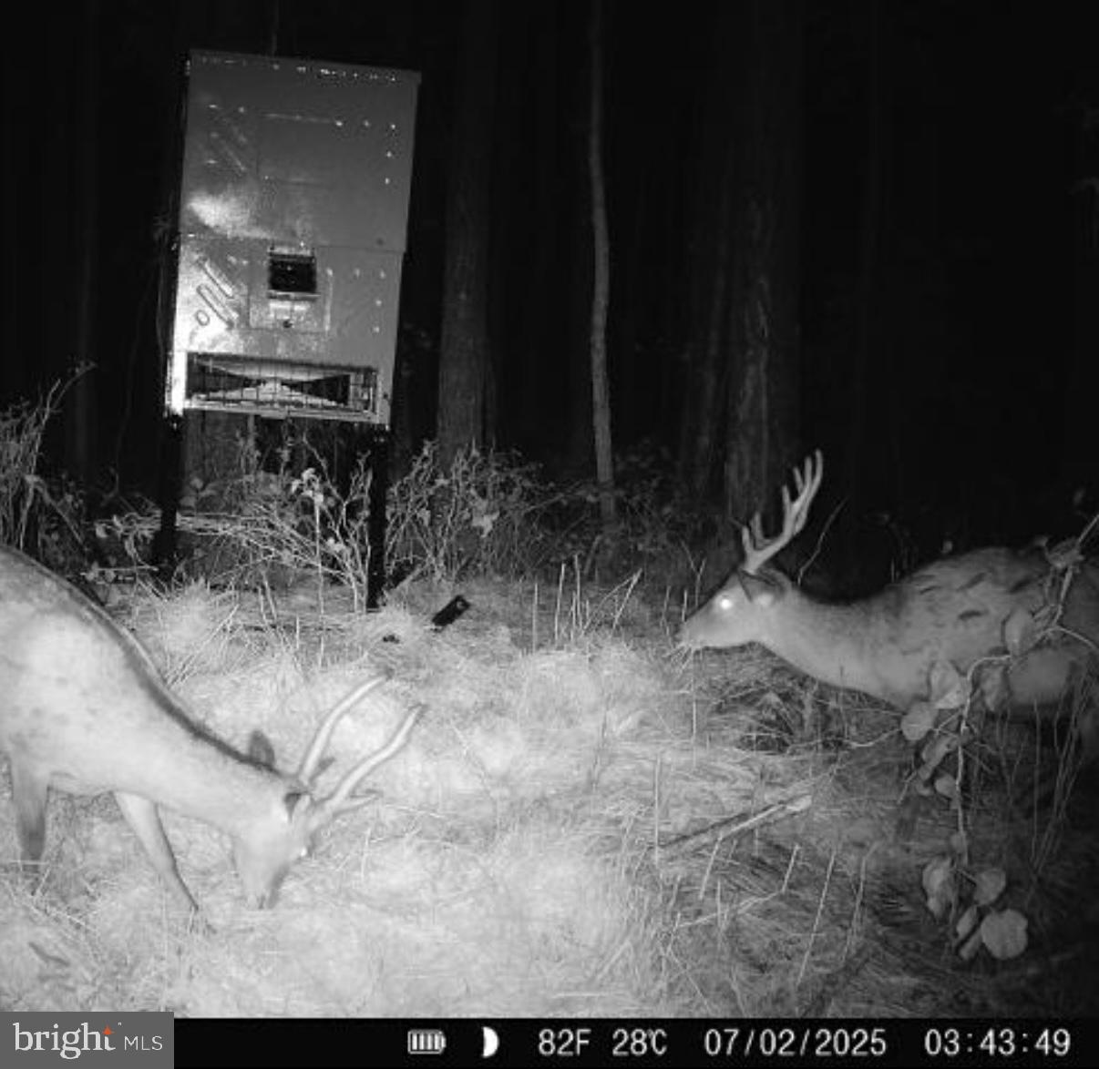 7 Muddy Hole Road Tyaskin, MD 21865 - Photo 82 of 96