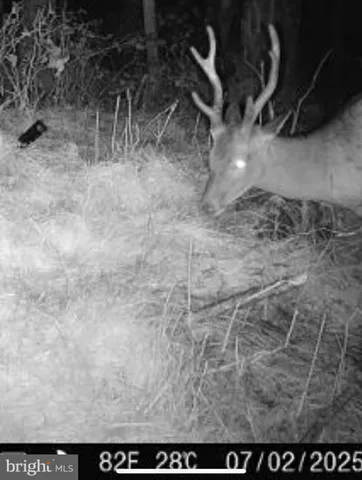 $199,000 | 7 Muddy Hole Road, Tyaskin, MD 21865