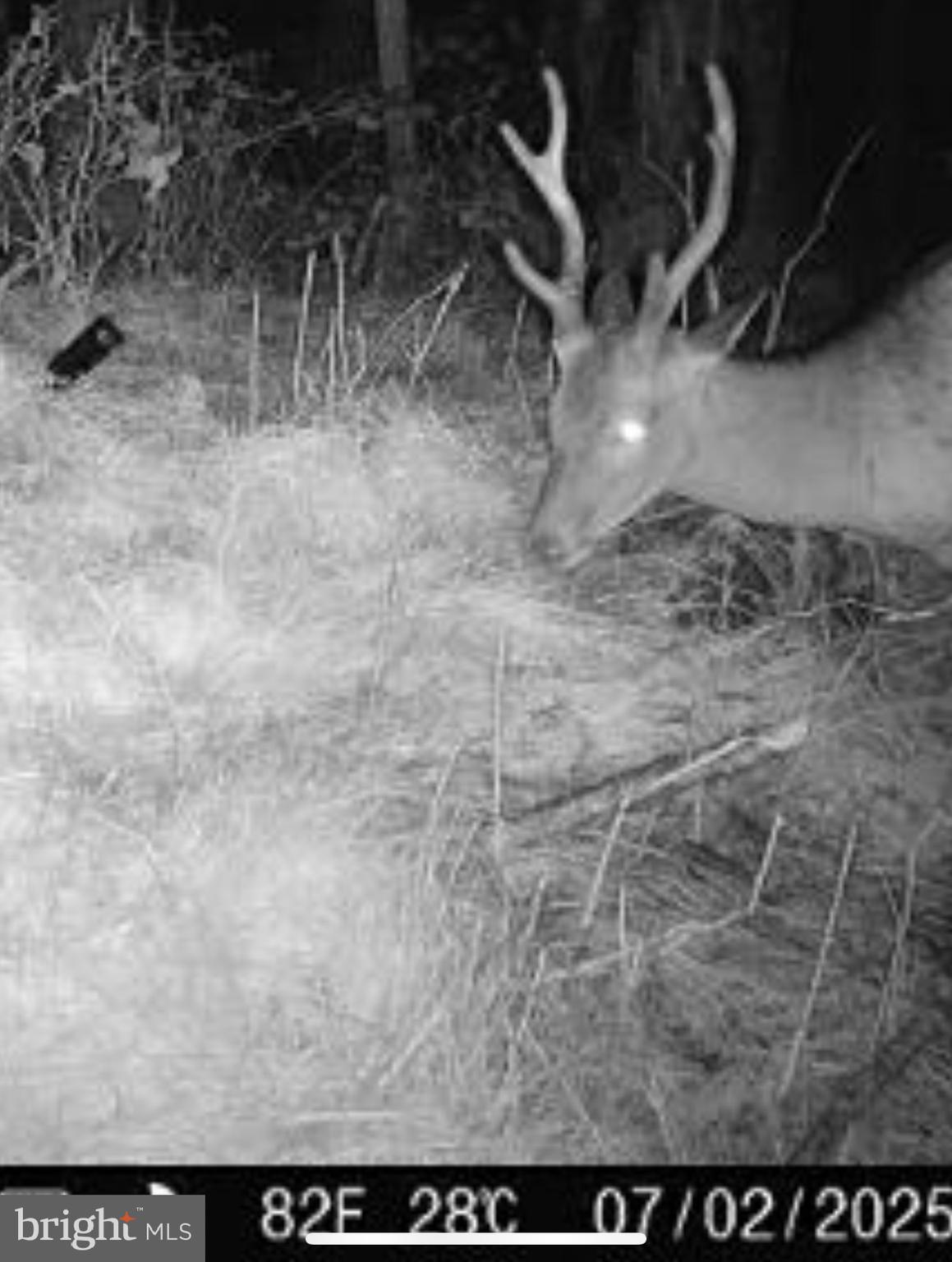 7 Muddy Hole Road Tyaskin, MD 21865 - Photo 83 of 96