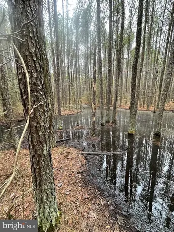 $199,000 | 7 Muddy Hole Road, Tyaskin, MD 21865