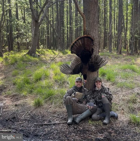 $199,000 | 7 Muddy Hole Road, Tyaskin, MD 21865