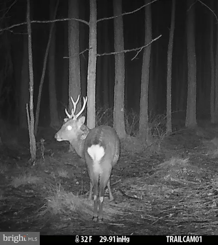 $199,000 | 7 Muddy Hole Road, Tyaskin, MD 21865