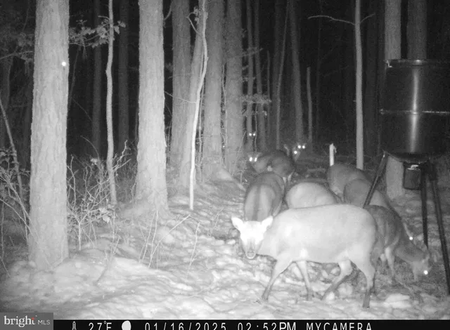 $199,000 | 7 Muddy Hole Road, Tyaskin, MD 21865