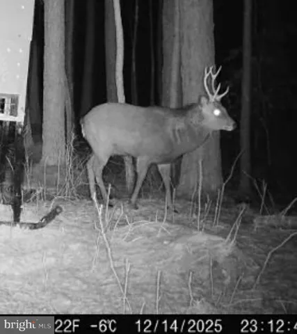 a close view of shower tap
