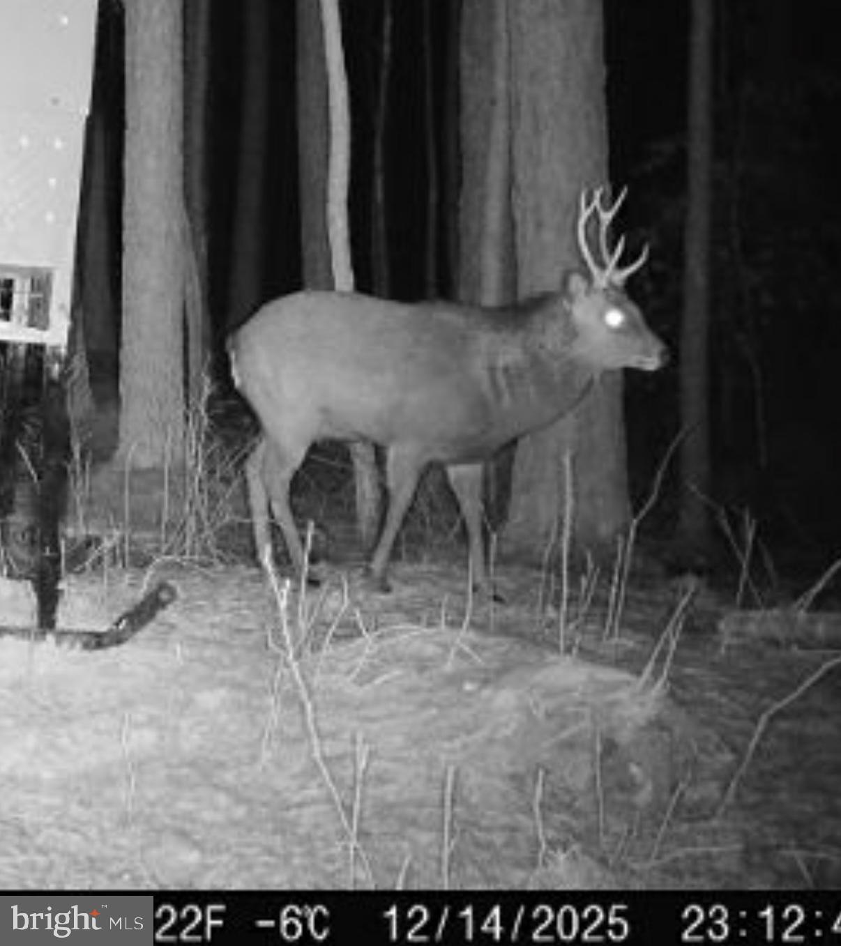 7 Muddy Hole Road Tyaskin, MD 21865 - Photo 10 of 96