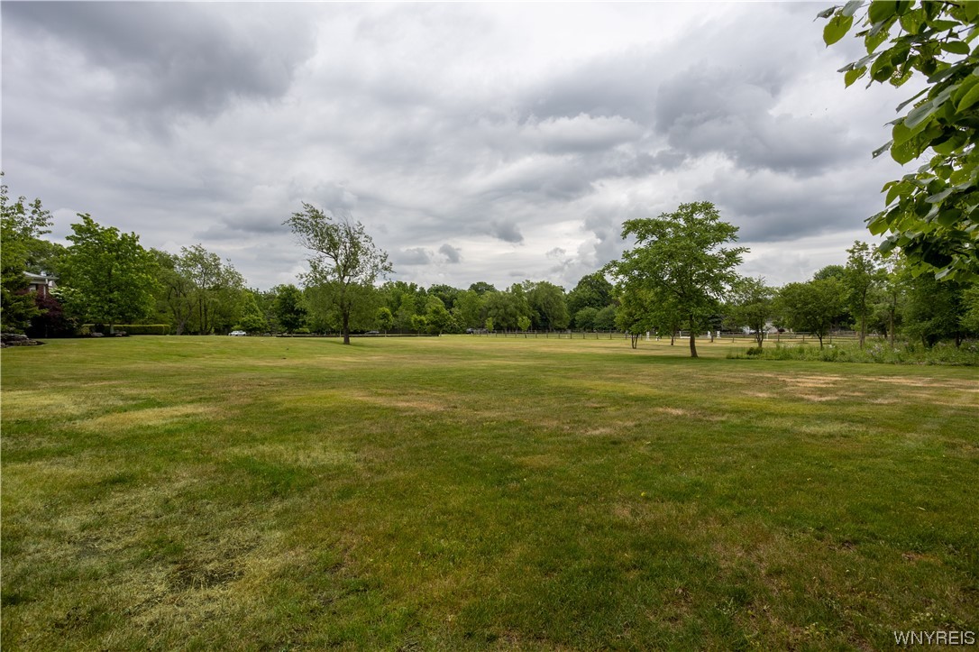 5004 Winding Lane Clarence, NY 14031 - Photo 46 of 50 Front Yard