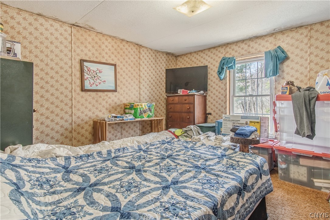 3976 Factory Road Diana, NY 13665 - Photo 15 of 46
