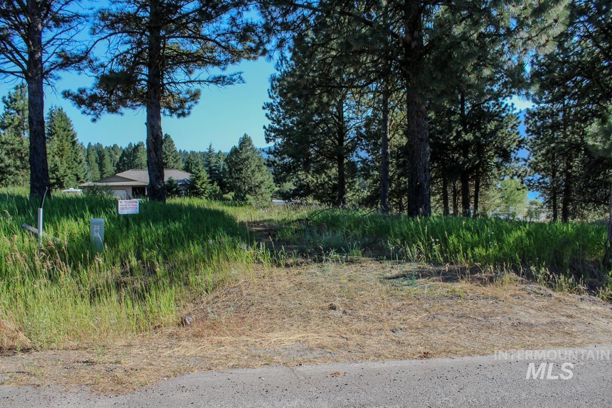 507 Jeffrey Avenue Cascade, ID 83611 - Photo 11 of 19