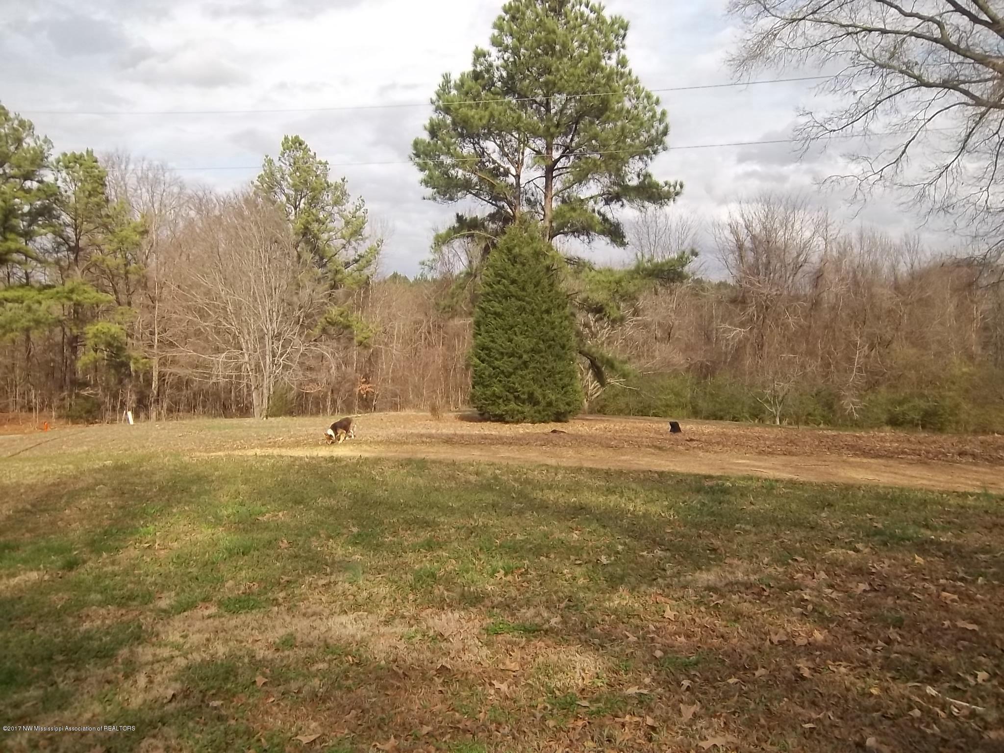 1790 Hogsfoot Road Senatobia, MS 38668 - Photo 4 of 9 100_2974