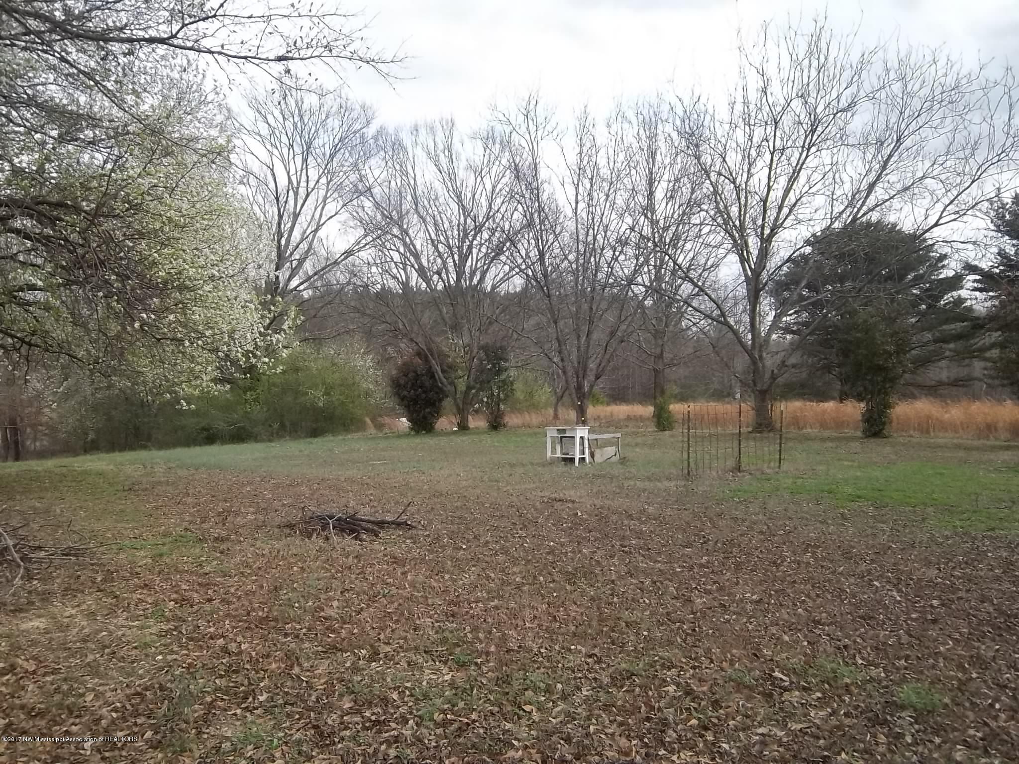 1790 Hogsfoot Road Senatobia, MS 38668 - Photo 7 of 9 100_2977