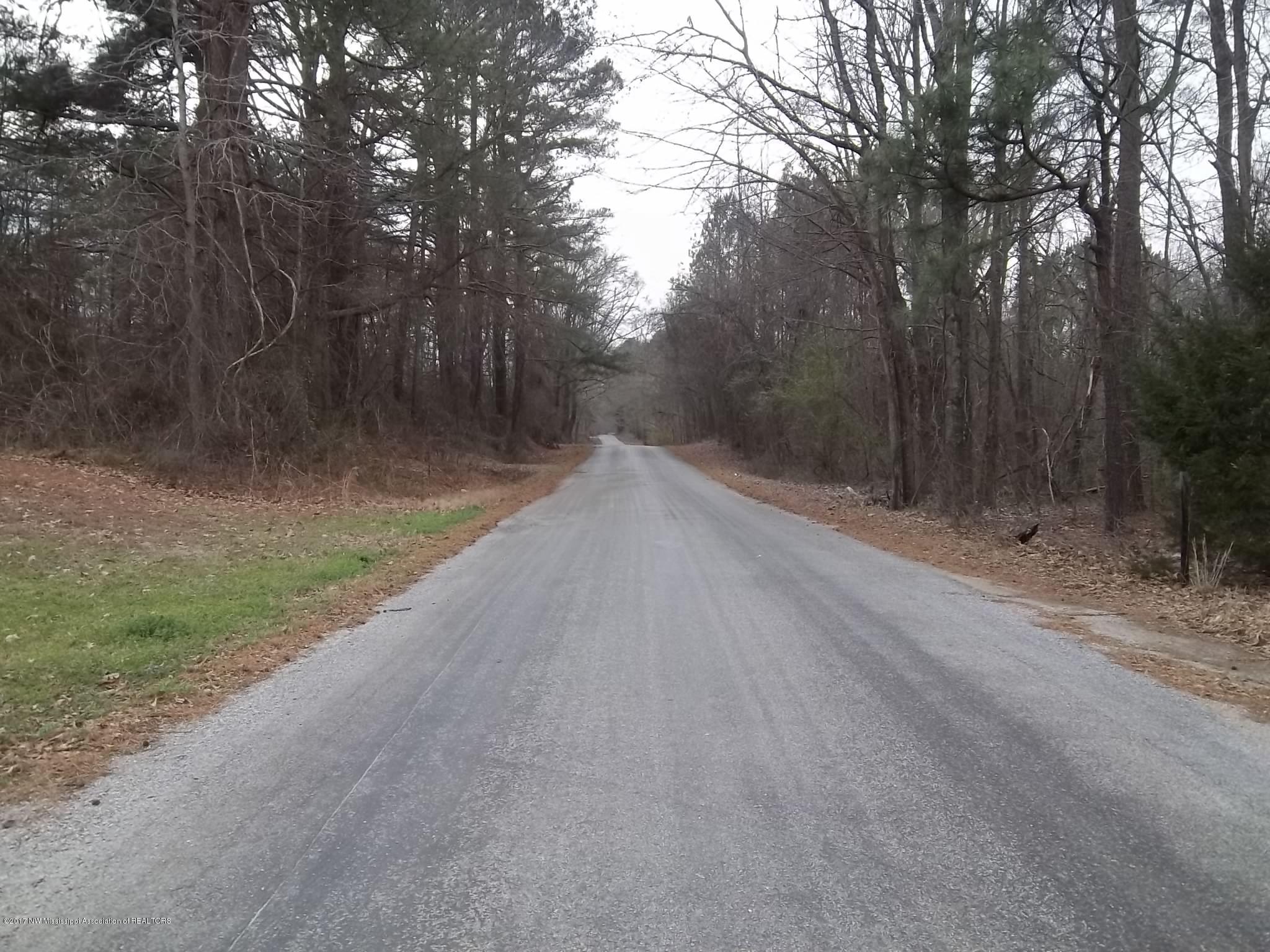 1790 Hogsfoot Road Senatobia, MS 38668 - Photo 8 of 9 100_2979