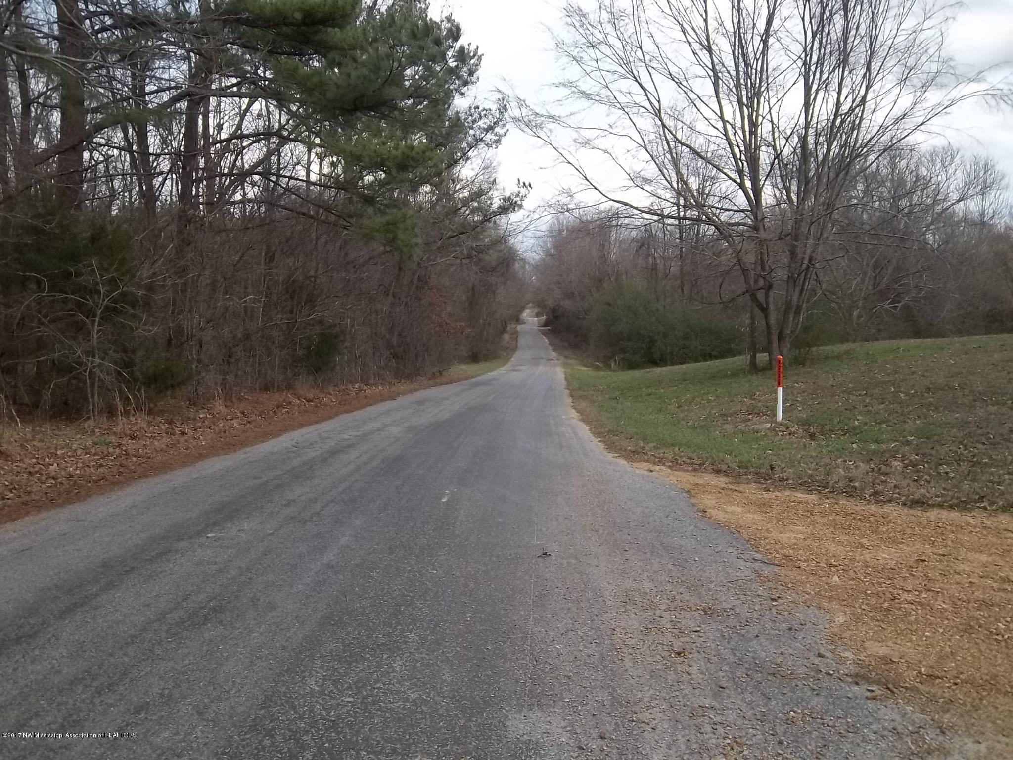 1790 Hogsfoot Road Senatobia, MS 38668 - Photo 9 of 9 100_2978