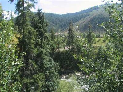276 River Ranch Road Edwards, CO 81632 - Photo 8 of 8 Additional Photo