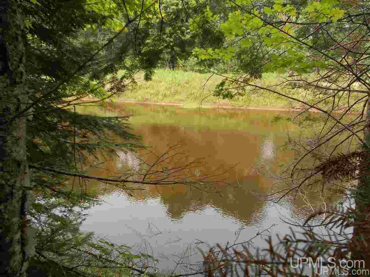 2563 N Rice Road Gulliver, MI 49840 - Photo 5 of 27