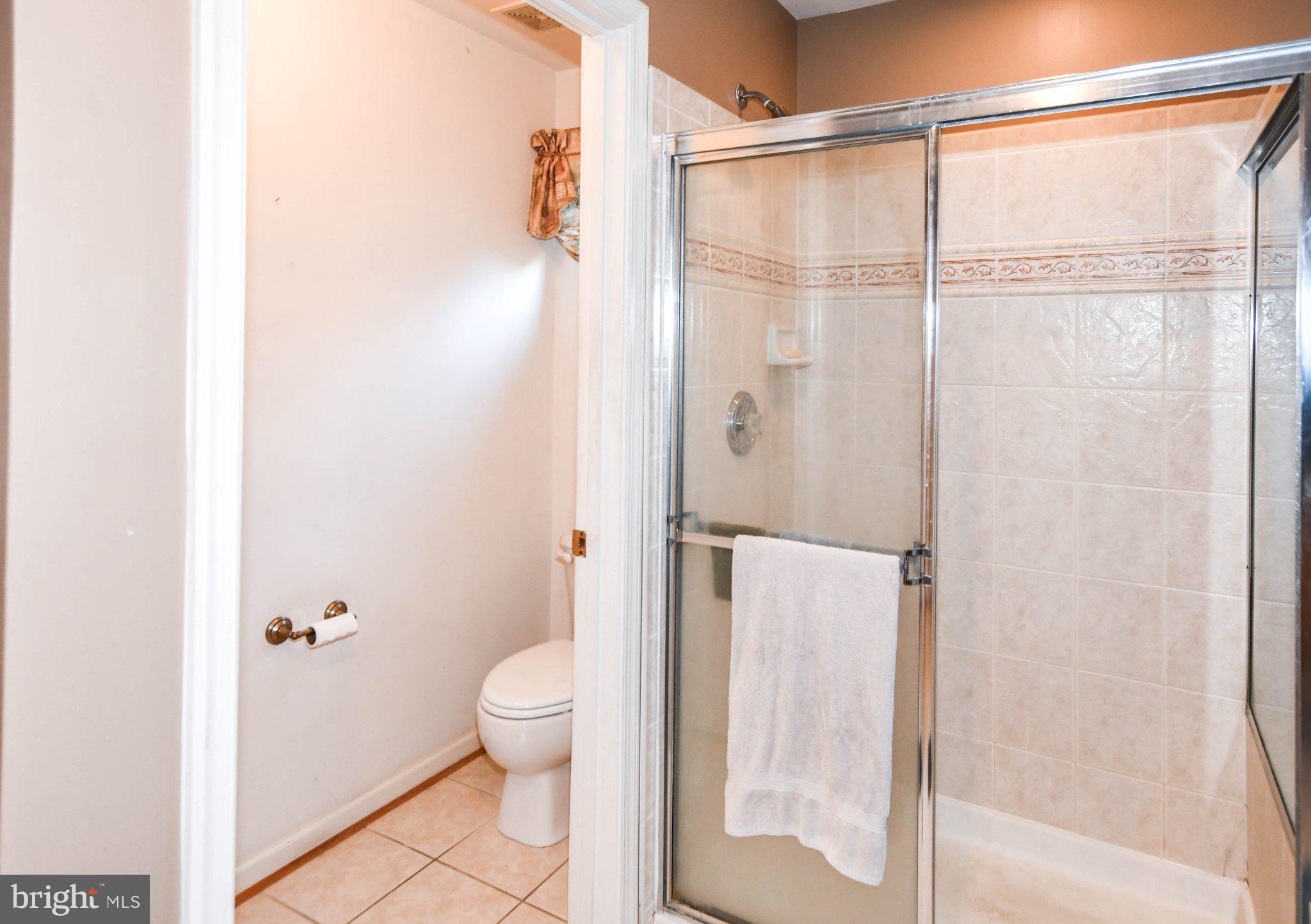 3208 Clavier Place Clinton, MD 20735 - Photo 45 of 55 Modern bathroom with sleek finishes.