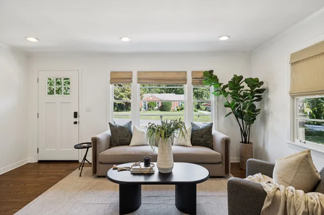 a living room with furniture potted plant and a large window