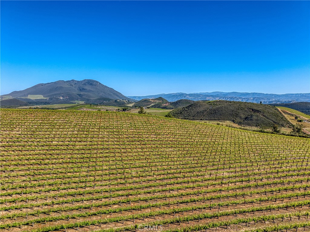 8179 Highway 29 Lower Lake, CA 95457 - Photo 19 of 45