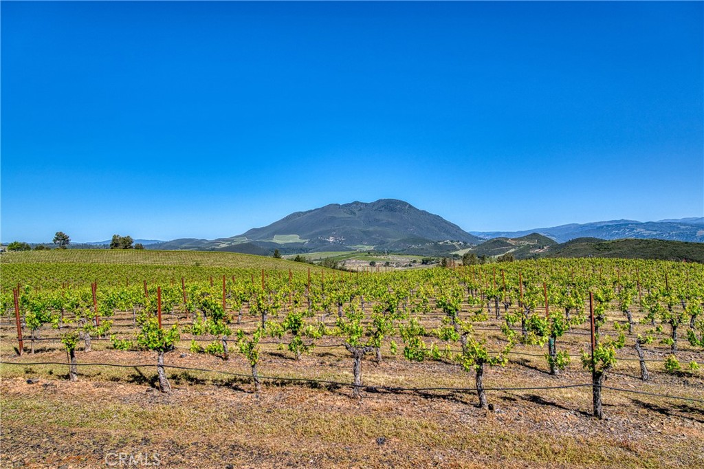 8179 Highway 29 Lower Lake, CA 95457 - Photo 20 of 45