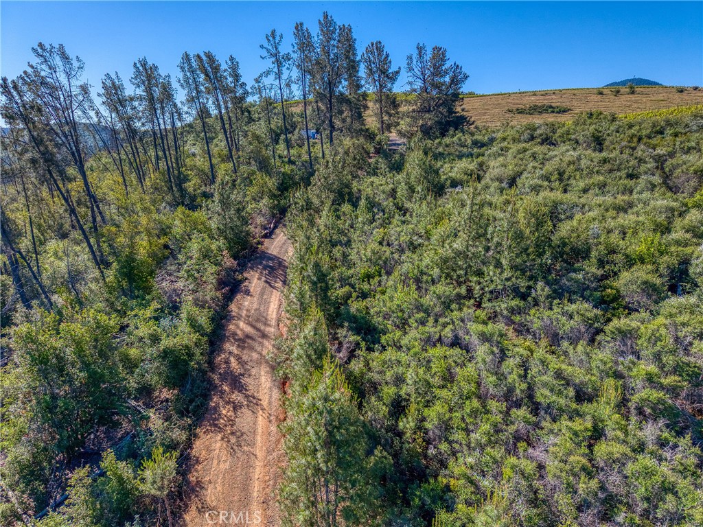 8179 Highway 29 Lower Lake, CA 95457 - Photo 36 of 45