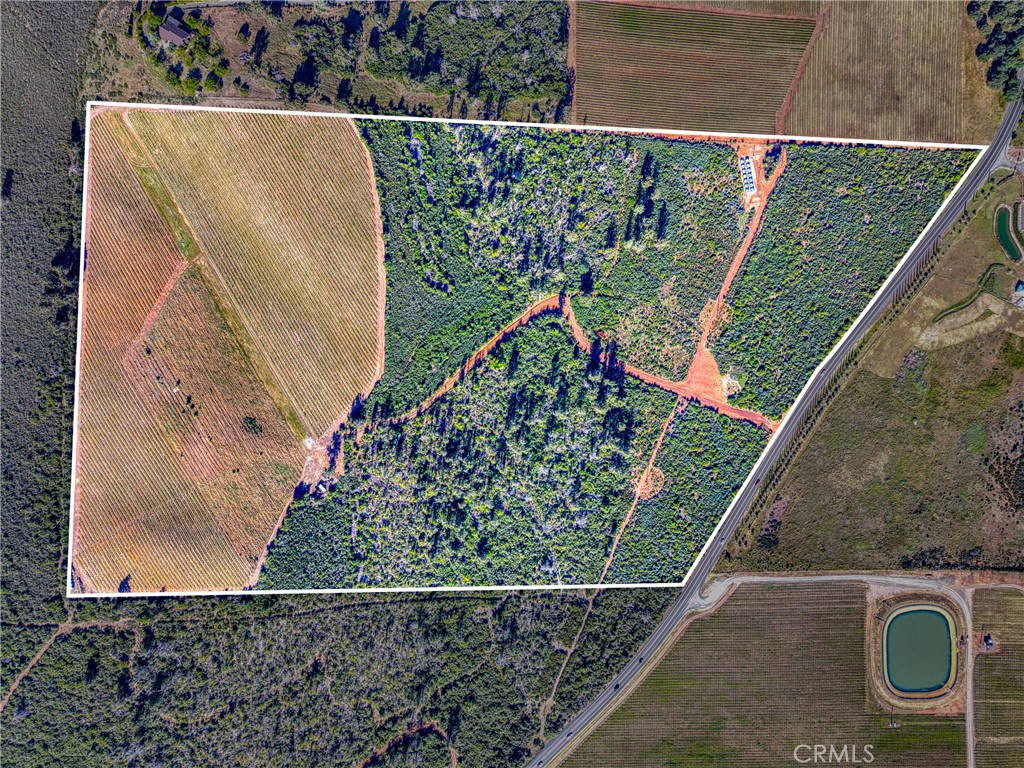 8179 Highway 29 Lower Lake, CA 95457 - Photo 42 of 45