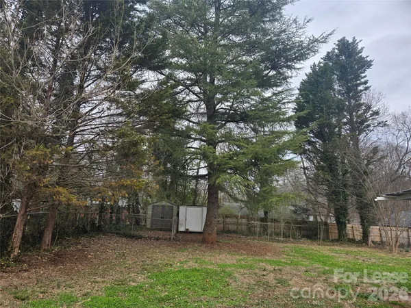 a view of a backyard with large trees
