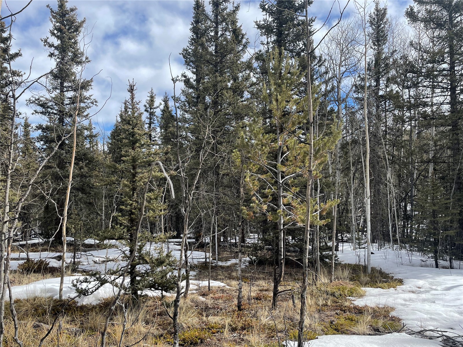80 Haida Road Como, CO 80456 - Photo 17 of 31