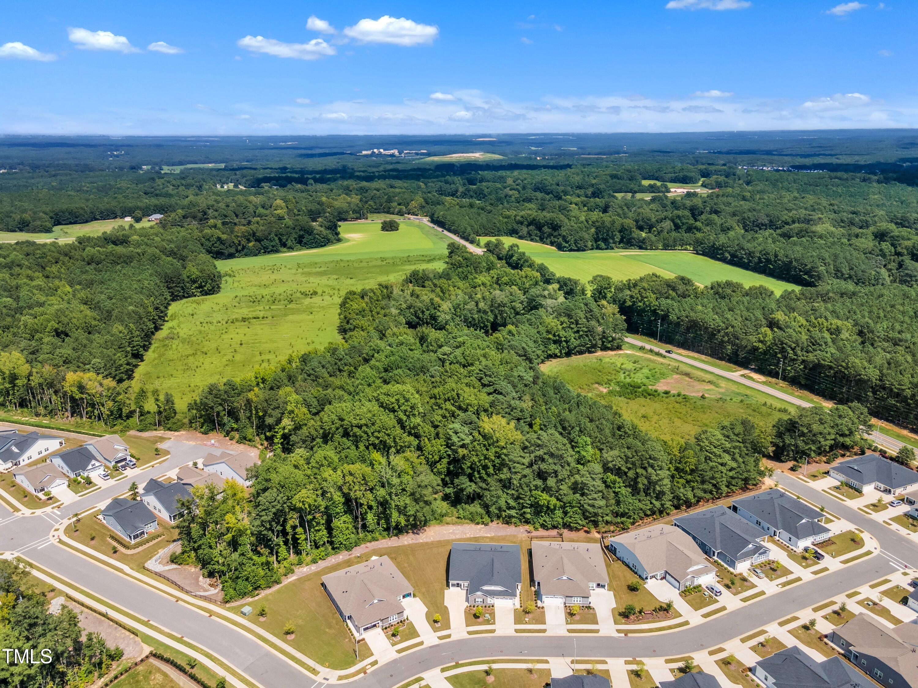 231 Azure Mist Drive Raleigh, NC 27610 - Photo 48 of 62 50-231 Azure Mist-4