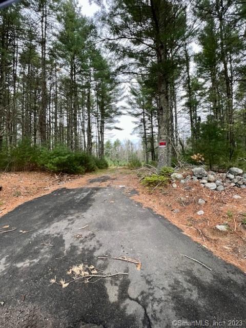 a view of a field with trees in front of it