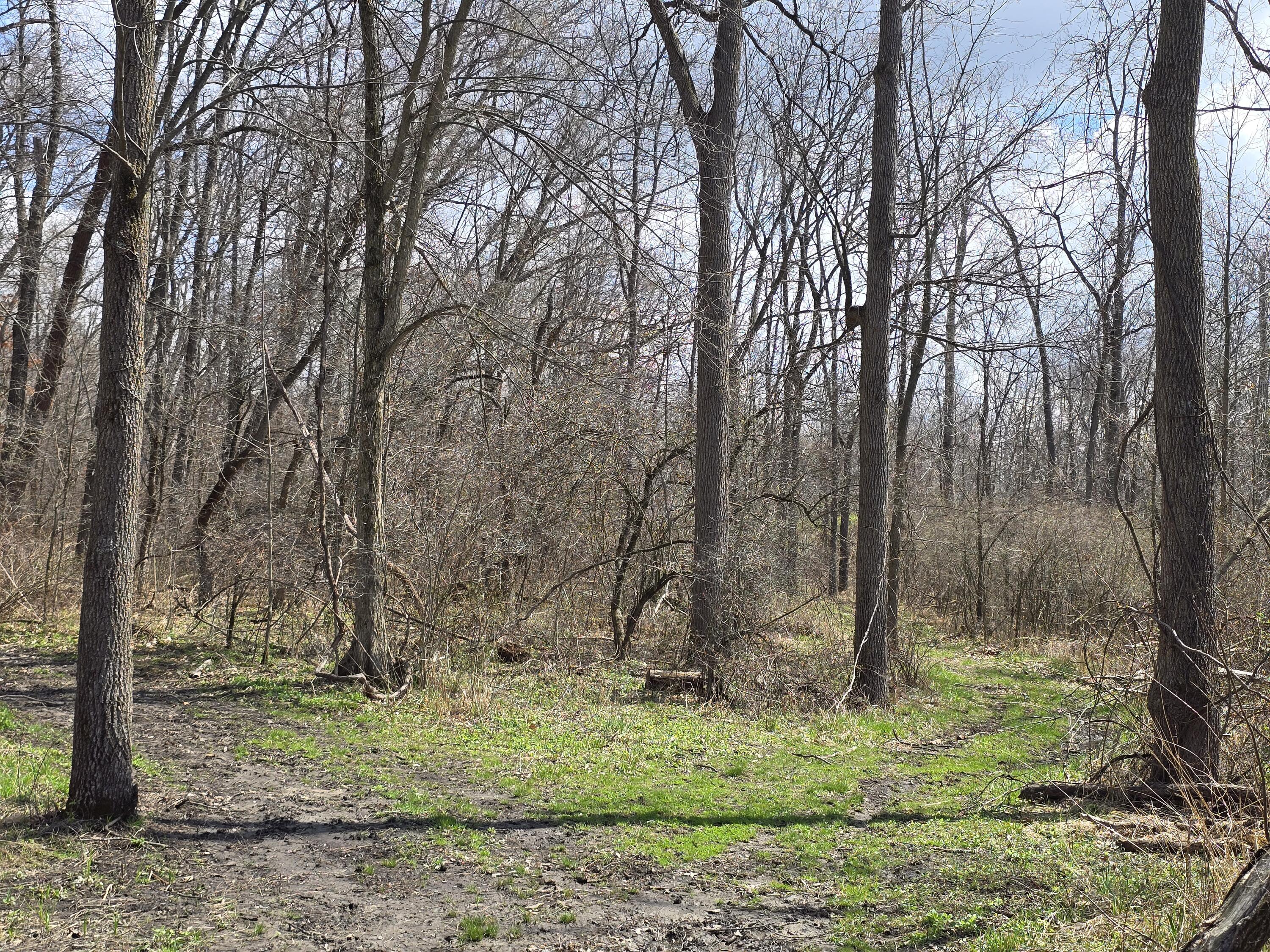 1284 Maplegrove Road Jackson, MI 49201 - Photo 22 of 45 20260413_132831