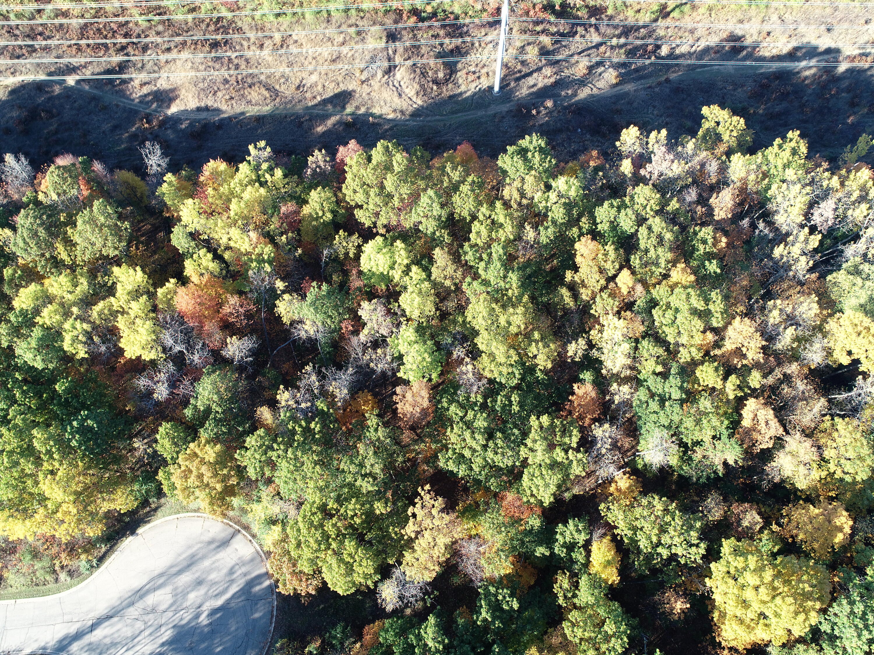 23 Grand Summit Drive Fenton, MI 48430 - Photo 2 of 7 DJI_0070