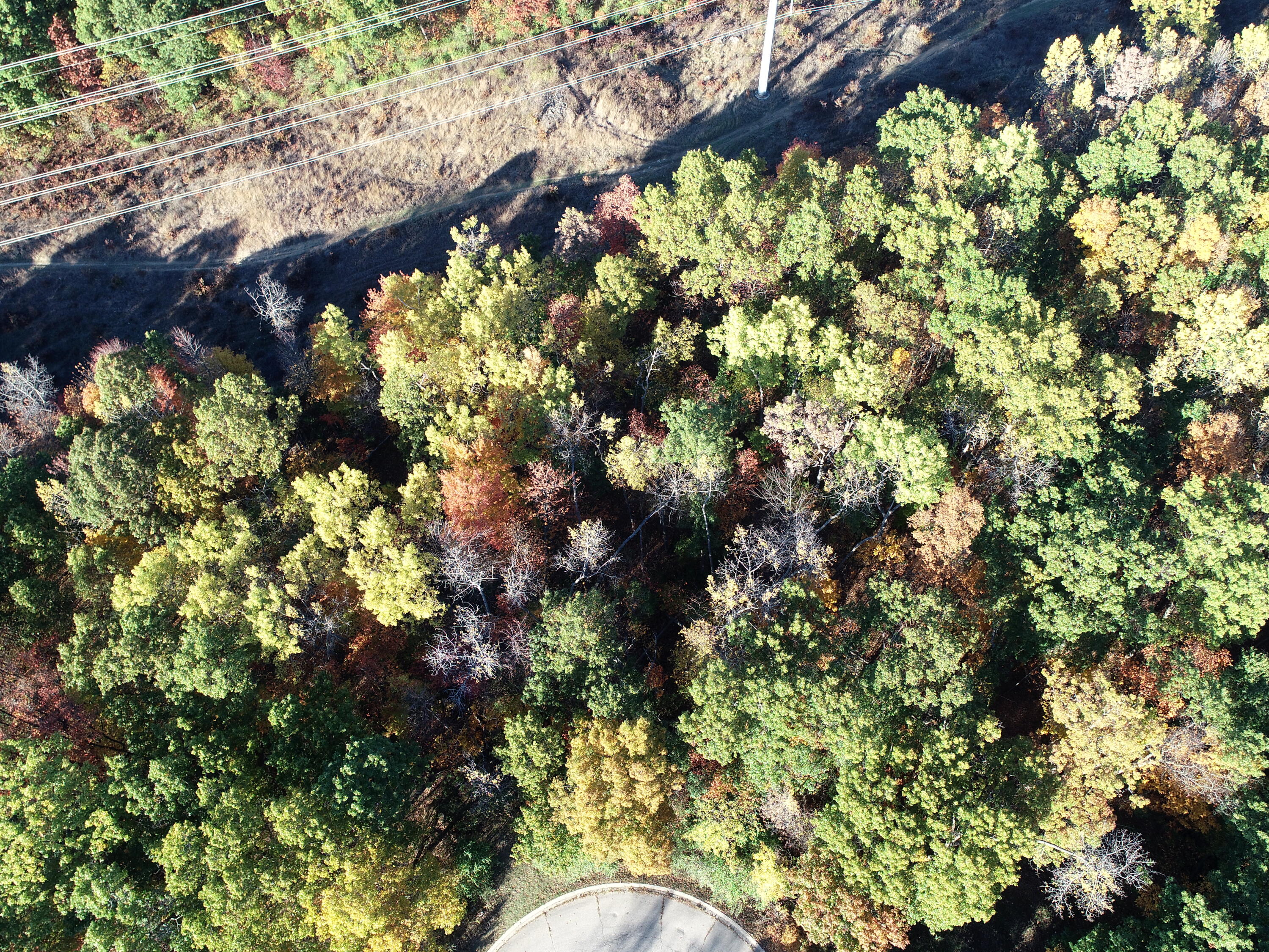 23 Grand Summit Drive Fenton, MI 48430 - Photo 3 of 7 DJI_0069