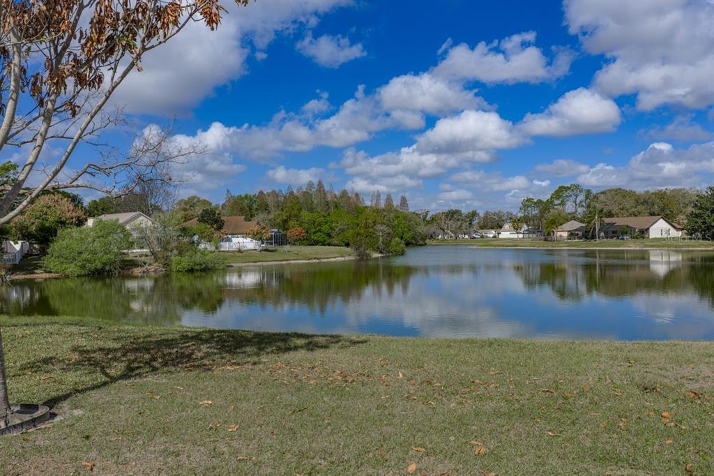 2104 Haydon Court Brandon, FL 33511 - Photo 56 of 92