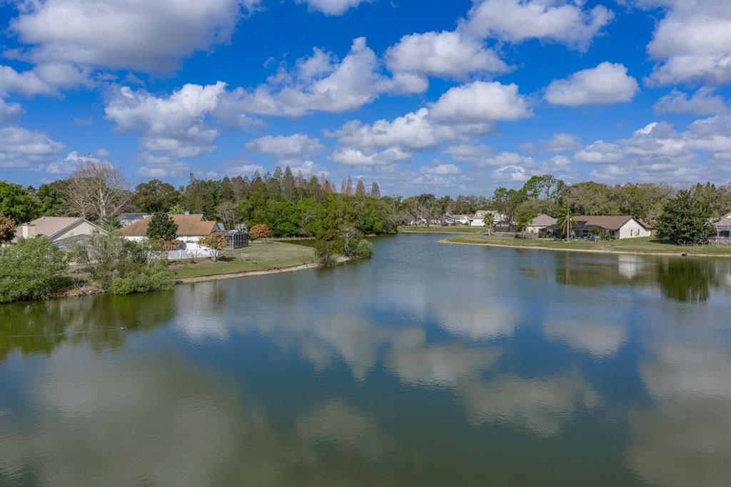 2104 Haydon Court Brandon, FL 33511 - Photo 60 of 92