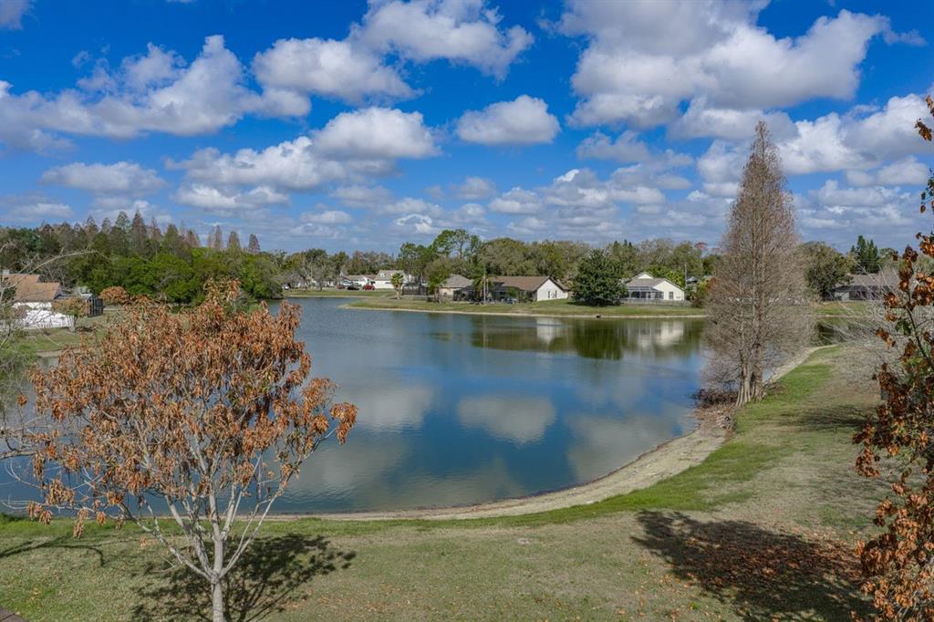 2104 Haydon Court Brandon, FL 33511 - Photo 61 of 92