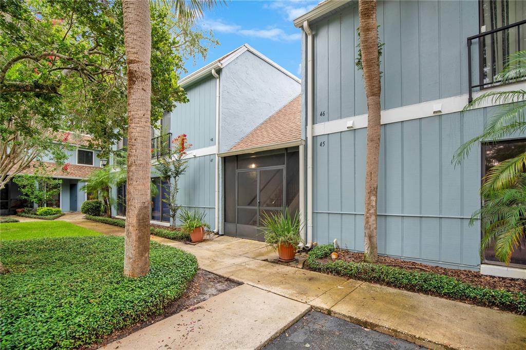 a view of a white house with a small yard plants and a large tree
