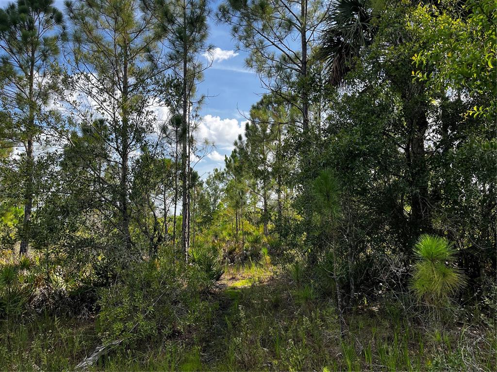50204 Bermont Road Punta Gorda, FL 33982 - Photo 46 of 50 Gallery Image 46