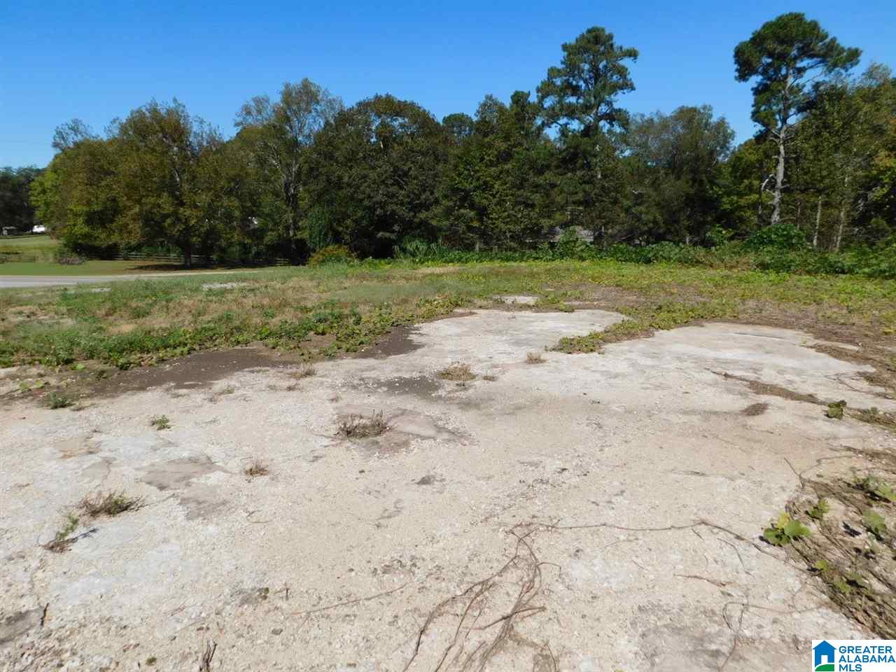 0 Highway 231, Unit 1 Oneonta, AL 35121 - Photo 6 of 6