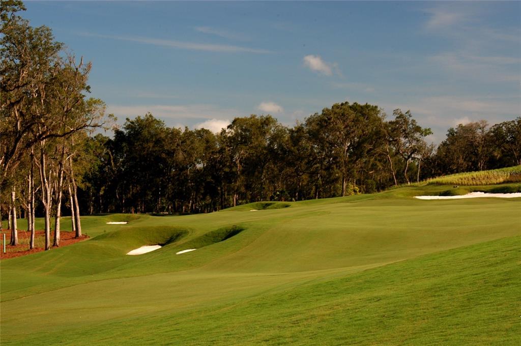 6406 Summit View Drive Brooksville, FL 34601 - Photo 57 of 59 a view of a swimming pool with an outdoor space and seating area