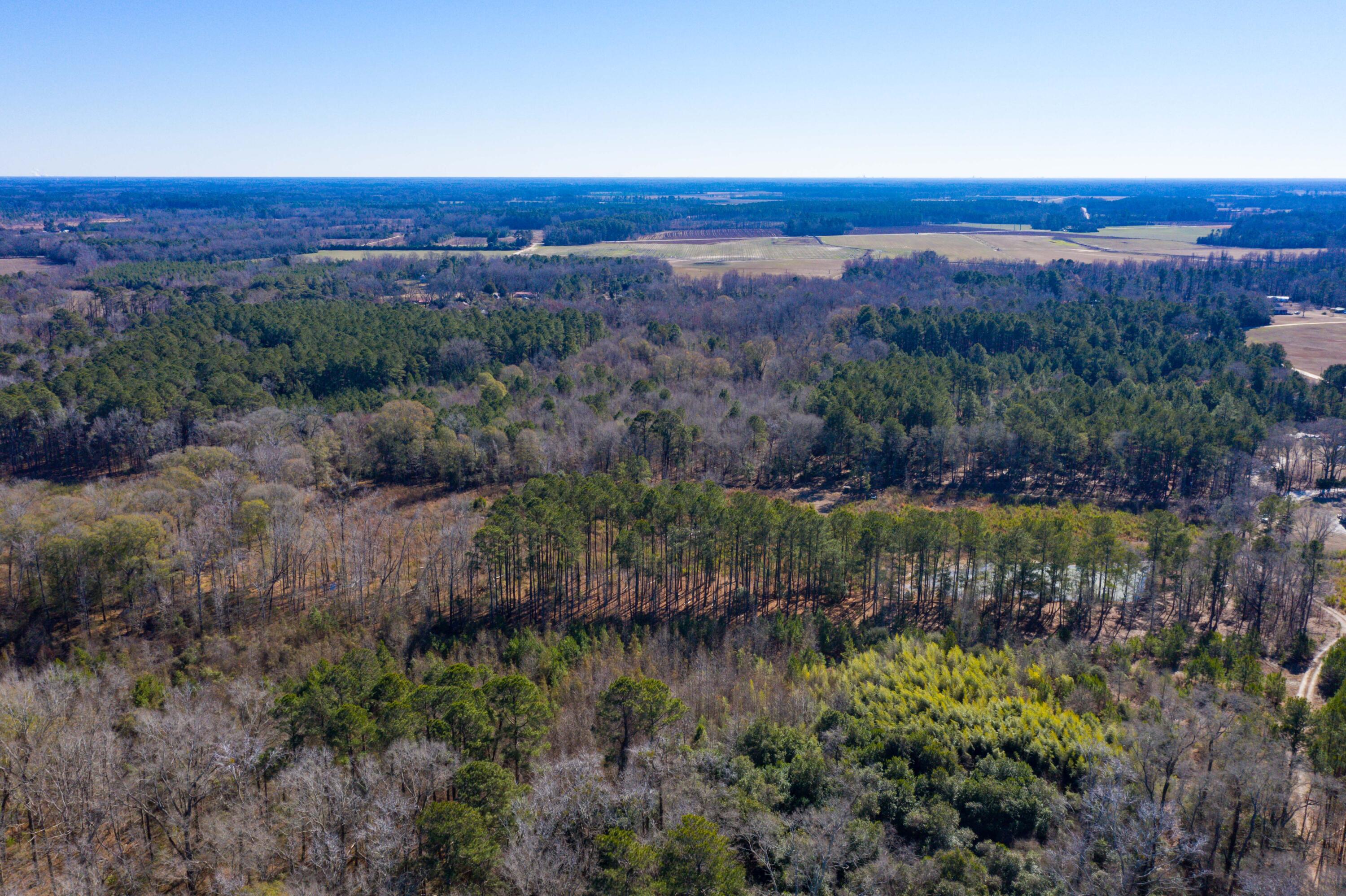 0 Altvater Road Elloree, SC 29047 - Photo 11 of 13 DJI_0024