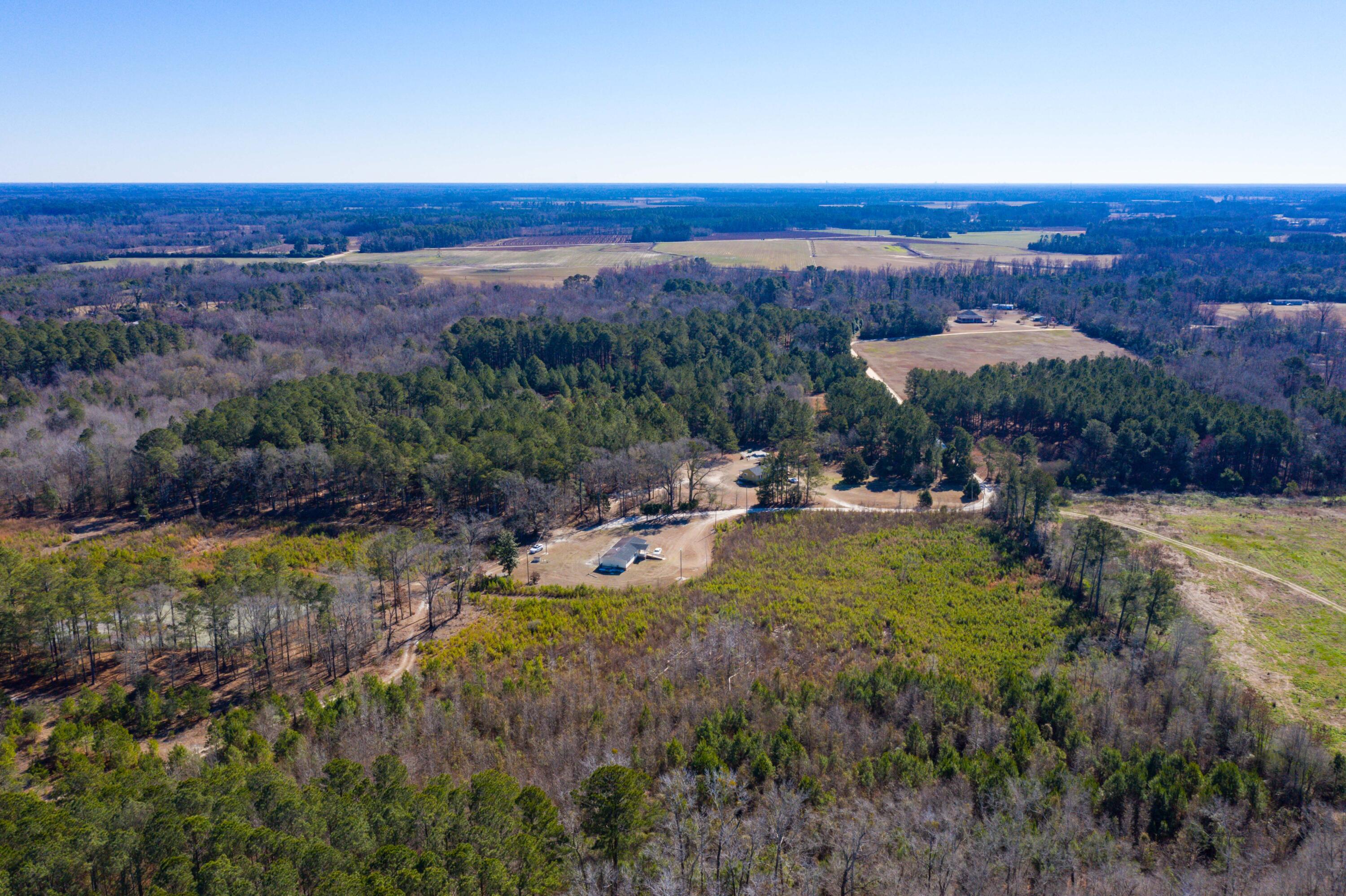 0 Altvater Road Elloree, SC 29047 - Photo 12 of 13 DJI_0025