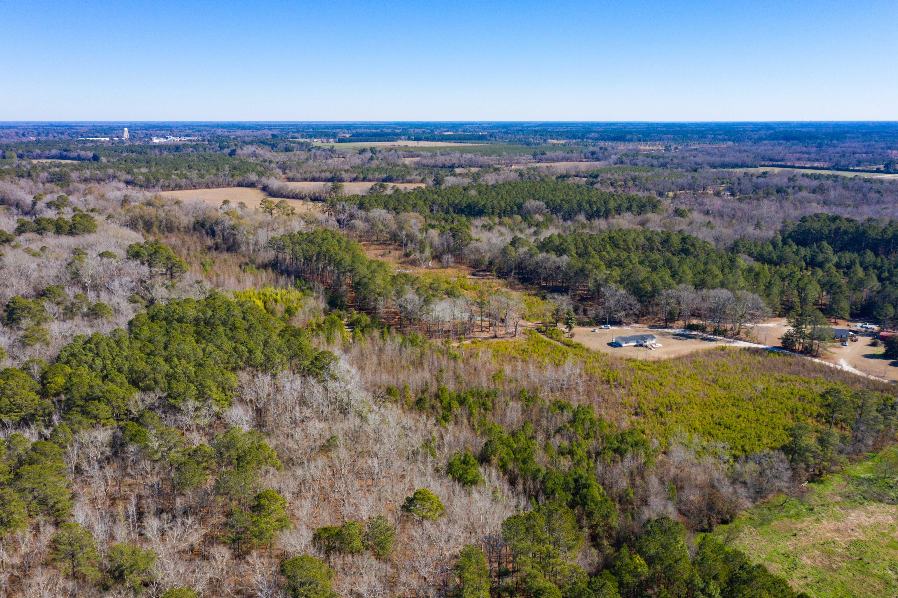0 Altvater Road Elloree, SC 29047 - Photo 13 of 13 DJI_0026