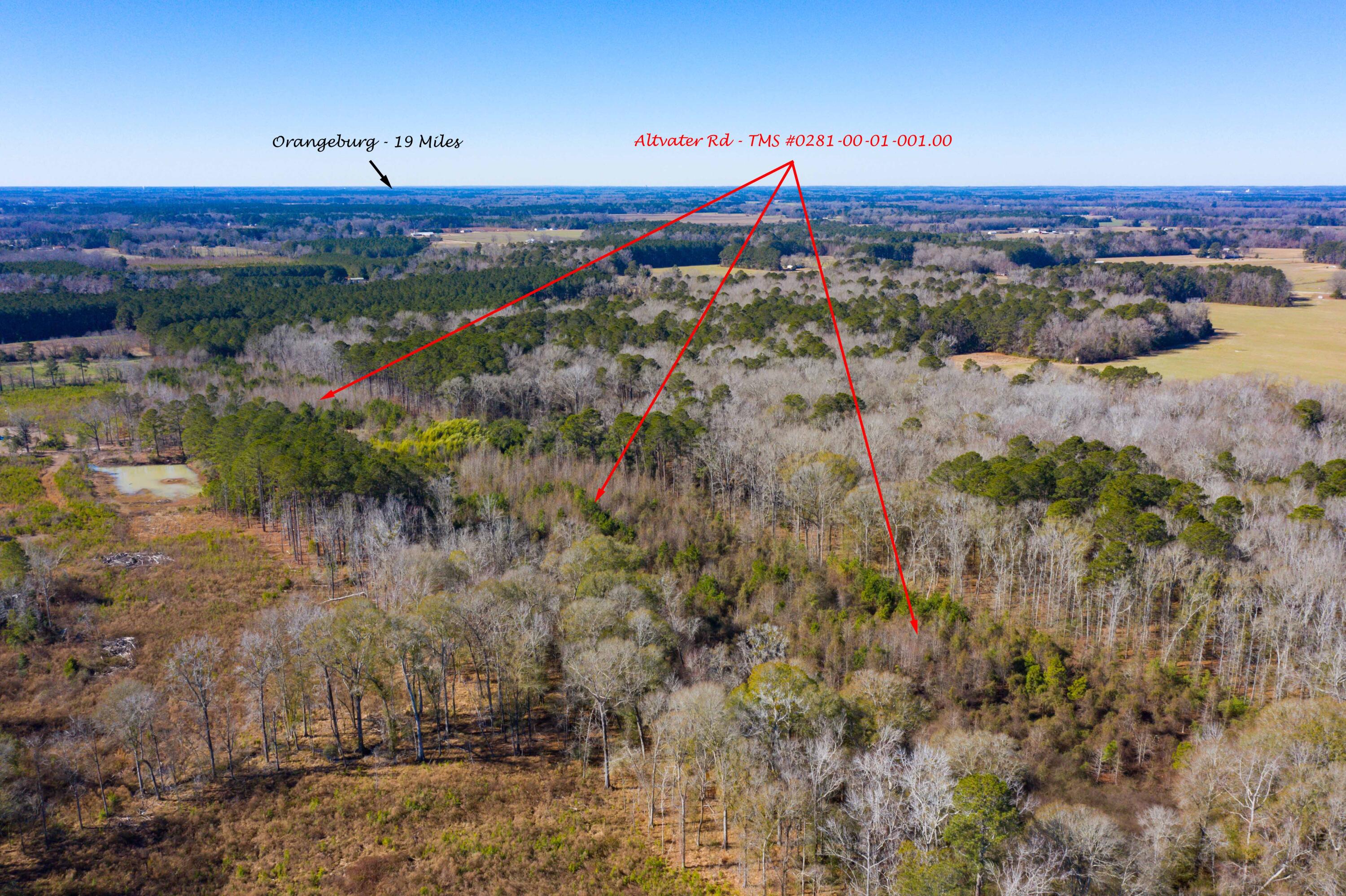 0 Altvater Road Elloree, SC 29047 - Photo 3 of 13 DJI_0020